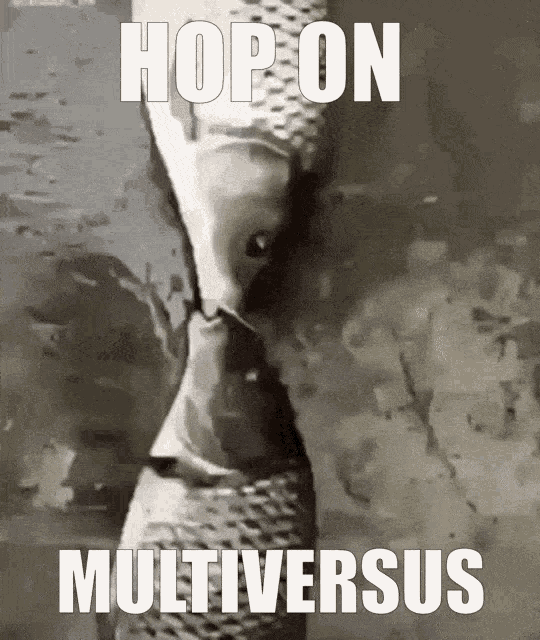 Multiversus Hop On Multiversus GIF - Multiversus Hop On Multiversus GIFs