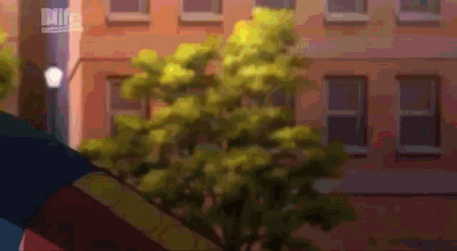 a blurry picture of a tree in front of a building