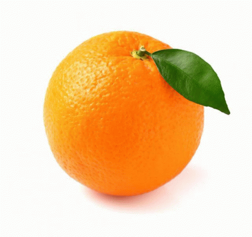 Naranja Rodalies Sin Rodalies GIF