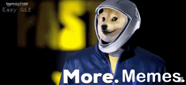 a dog wearing a helmet with the words more memes written below it