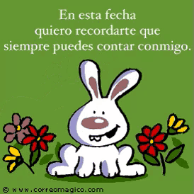 a cartoon of a rabbit with the words fuera de broma feliz dia del amigo