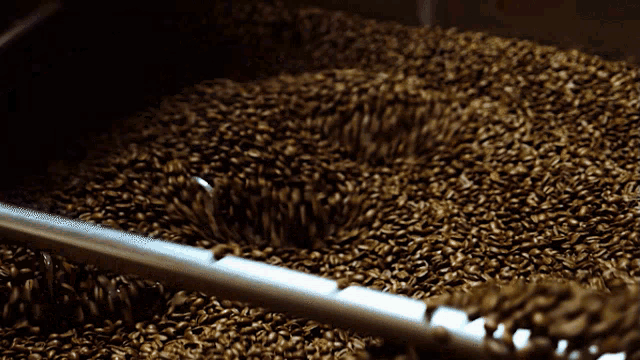 Coffee Coffee Beans GIF - Coffee Coffee Beans Beans GIFs