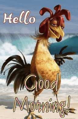 a picture of a rooster on the beach with the words " hello good morning "