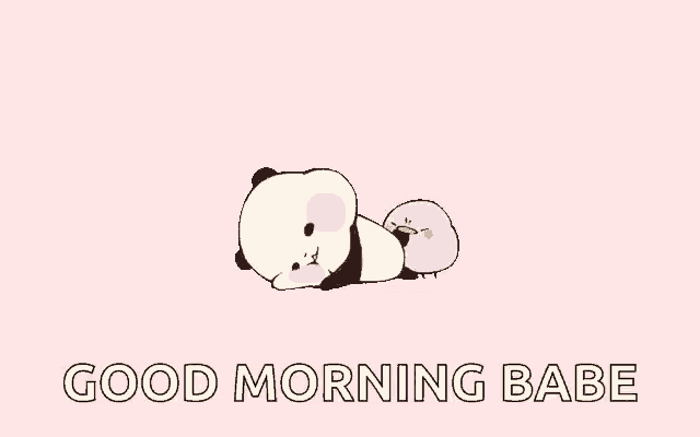 a panda bear and a chick are laying down on a pink background with the words `` good morning babe '' .