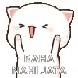 a white cat is covering its face with its hands and says `` raha nahi jata '' .