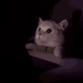 a cat is sitting on a table next to a tablet .