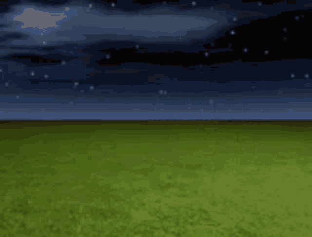 a field of grass with angel placencia written in orange letters