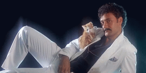 I Love You, Internet GIF - Cats Thriller Parody Kitten GIFs