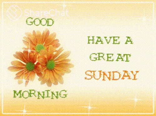 Good Morning Have A Great Sunday GIF - Good Morning Have A Great Sunday शुभप्रभात GIFs