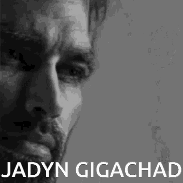 Jadyn Gigachad Lachlan Admin GIF - Jadyn Gigachad Jadyn Lachlan Admin GIFs