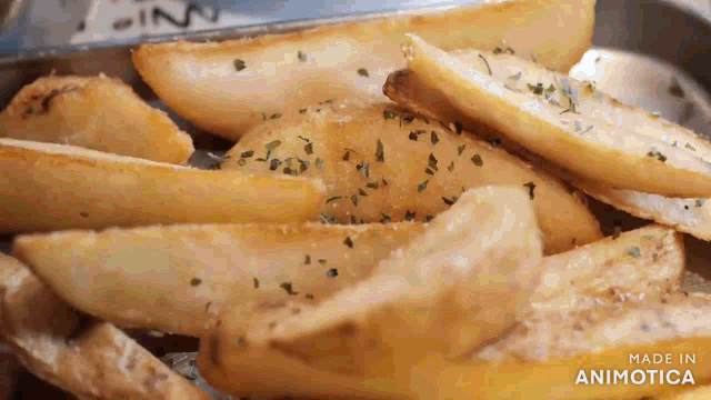 a close up of a plate of french fries with the words made in animatica on the bottom