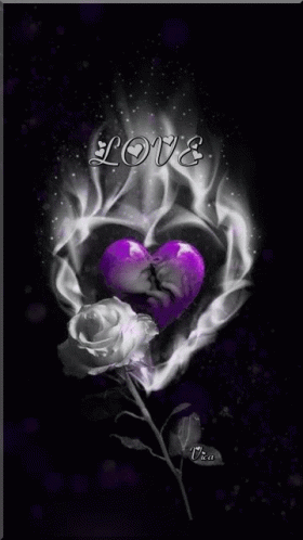 Love Rose GIF - Love Rose Romantic GIFs