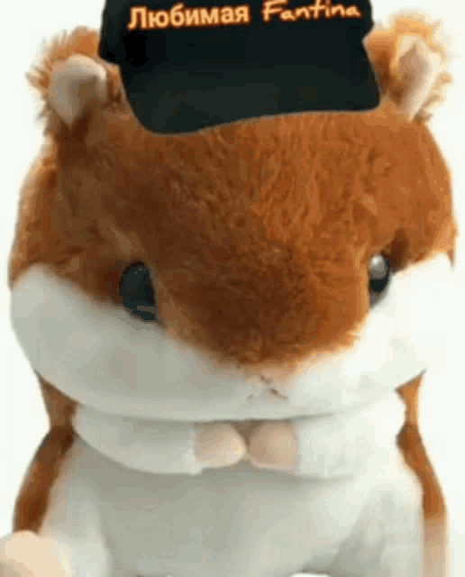 a stuffed hamster wearing a black hat that says fantina on it