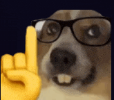 a dog wearing glasses and a yellow finger pointing