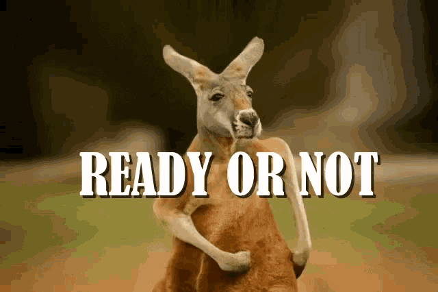 a kangaroo is holding another kangaroo with the words " ready or not " below it