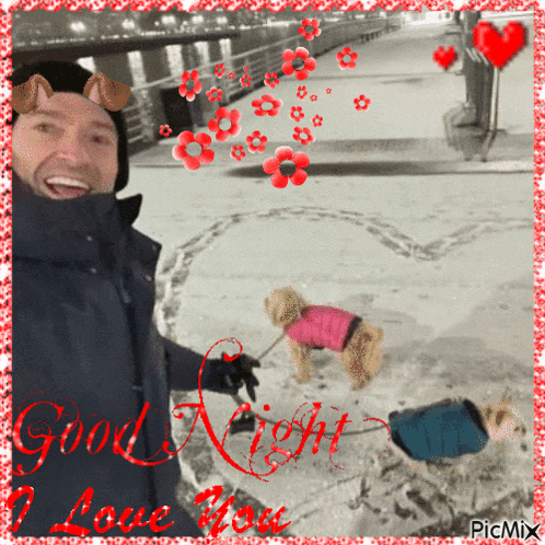 a picture of a man walking two dogs with the words good night i love you