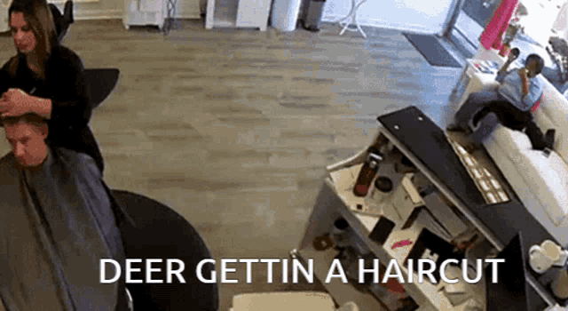a woman is cutting a man 's hair in a salon with the words deer gettin a haircut below her