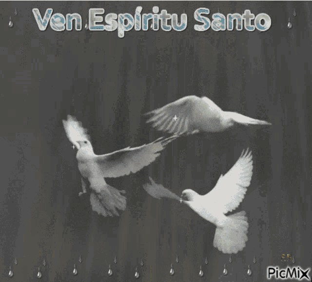 a picture of three birds flying with the words ven espiritu santo written above them