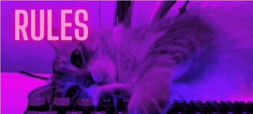 a cat is laying on a keyboard with the word rules written above it