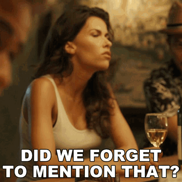 Did We Forget To Mention That Lexi Vaziri GIF - Did We Forget To Mention That Lexi Vaziri Blood And Treasure GIFs