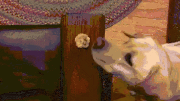 a dog is sniffing a piece of paper on a wooden post