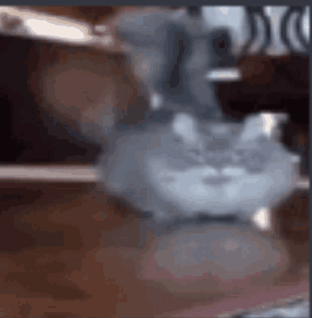 a cat is sitting on a wooden table with a blurred background .