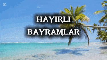 a palm tree on a beach with the words hayirli bayramlar above it