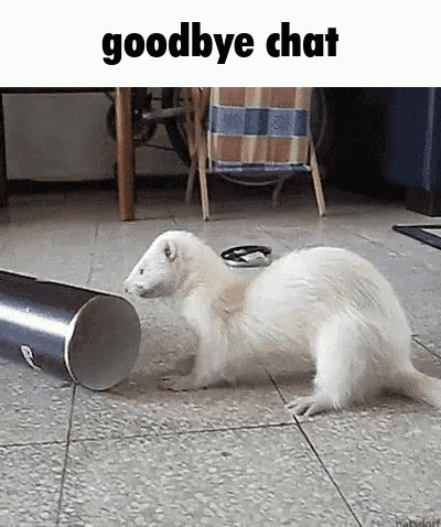 a white ferret is standing on a tiled floor next to a broken can .