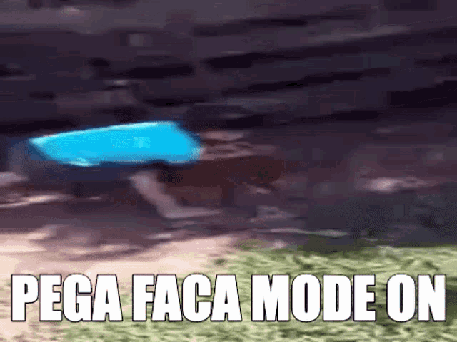 a person is standing in front of a swimming pool with the words pega faca mode on written on it .