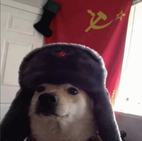 Sovietdog Perro GIF - Sovietdog Perro Pibe GIFs