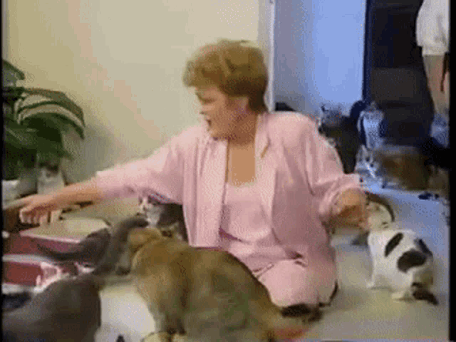 a woman in a pink robe is surrounded by cats and a dog