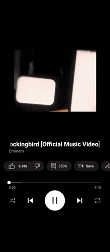 a kingbird official music video is being played