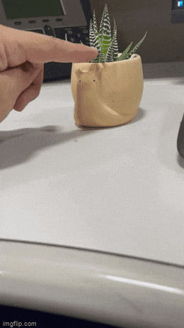 a person 's finger is pointing to a small potted plant