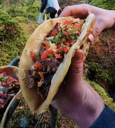 a person holding a taco with meat and vegetables