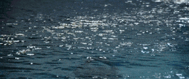 a man in a superman costume is swimming in the ocean .