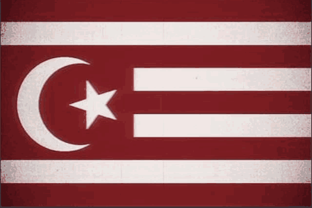 a red and white flag with a crescent moon and star .