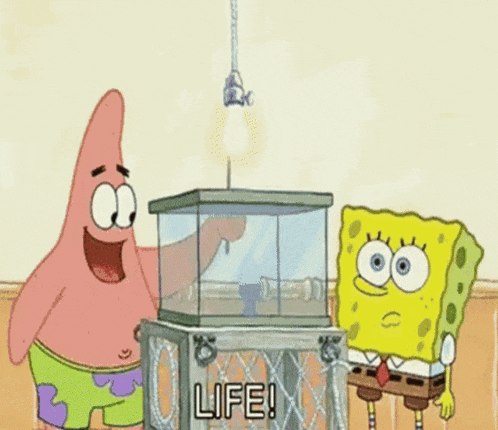 patrick star and spongebob are standing next to a box that says death on it