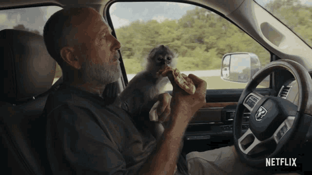 a man is driving a dodge truck with a monkey sitting on his lap
