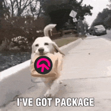 I Have Package Delivery GIF