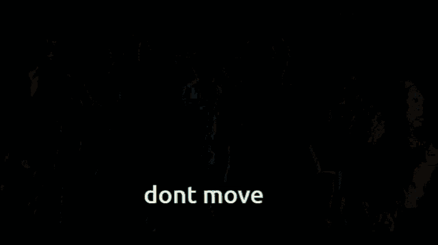 a dark forest scene with the words " dont move " in the corner