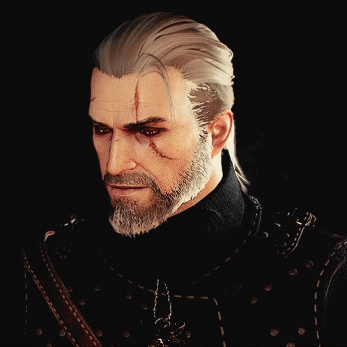 Witcher3 Stare GIF - Witcher3 Stare Serious GIFs
