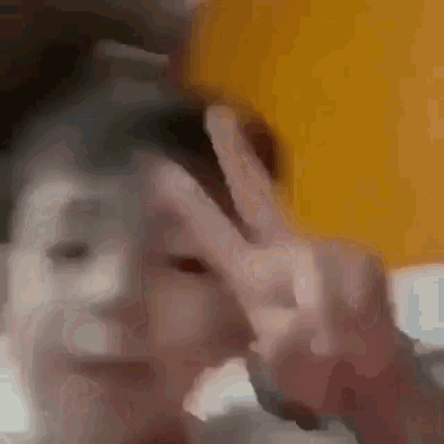 a close up of a person giving a peace sign with their hands .