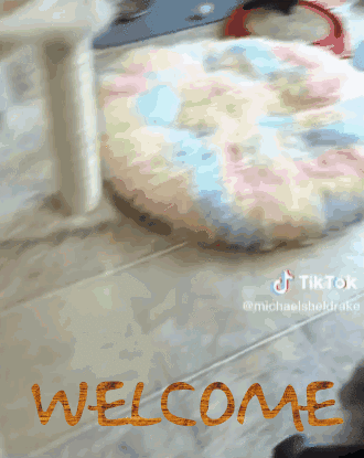 Welcome Hello GIF - Welcome Hello Hello Kitty GIFs