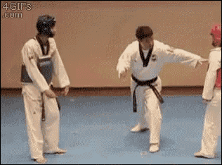a group of karate fighters are standing on a blue mat .
