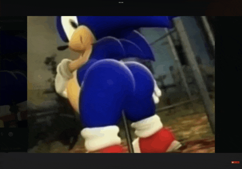 a cartoon of sonic the hedgehog 's butt is shown