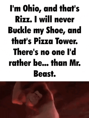 i 'm ohio , and that 's rizz .