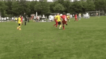 a group of soccer players are playing on a field
