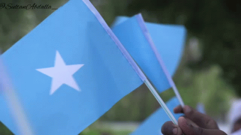 Somalia Somalia Flag GIF - Somalia Somalia Flag Somali GIFs