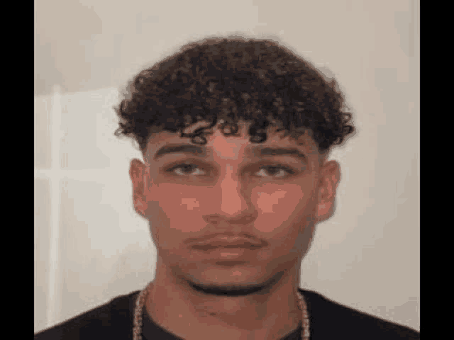 a young man with curly hair and a beard is wearing a black shirt and necklace .