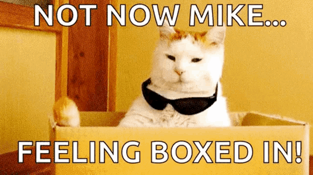 a cat wearing sunglasses sits in a cardboard box with the caption " not now mike ... feeling boxed in "